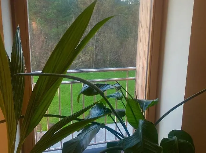 Azkarraga Hotel Amorebieta-Etxano